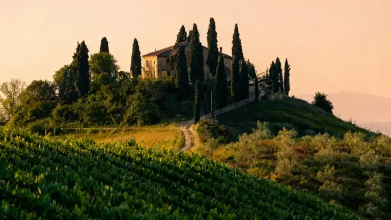 Casale tra cipressi su una collina al tramonto, circondato da vigneti e vegetazione