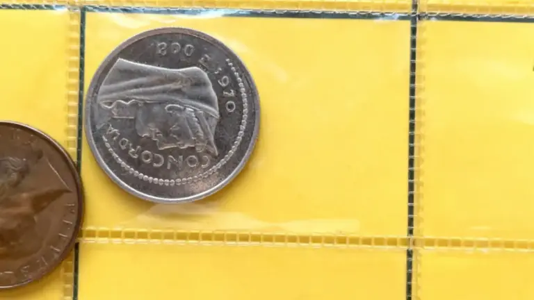 Due monete da collezione conservate in un raccoglitore giallo